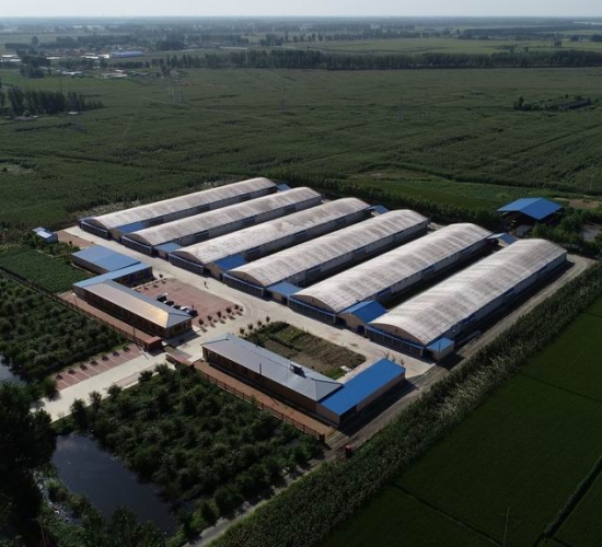 臺安縣九股河農(nóng)業(yè)發(fā)展有限公司養(yǎng)殖部